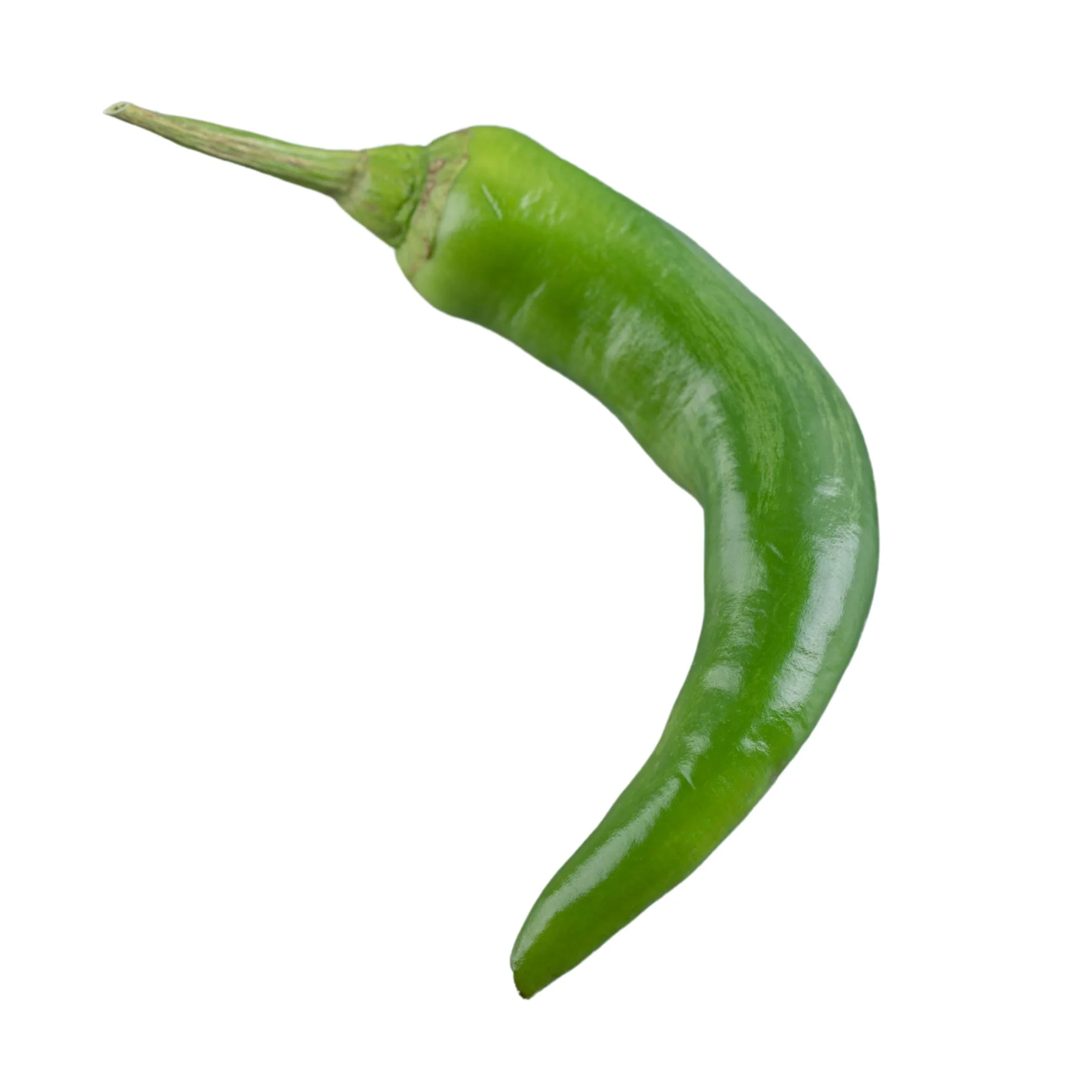 Fresh Bell Peppers Wholesale
